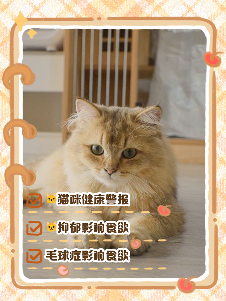 猫咪没精神不吃东西怎么办(猫咪没精神不吃饭是什么原因)