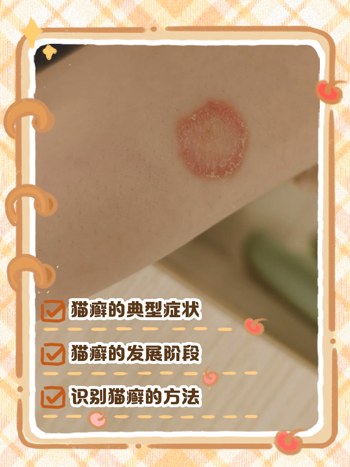 猫藓图片(猫藓图片早期症状)