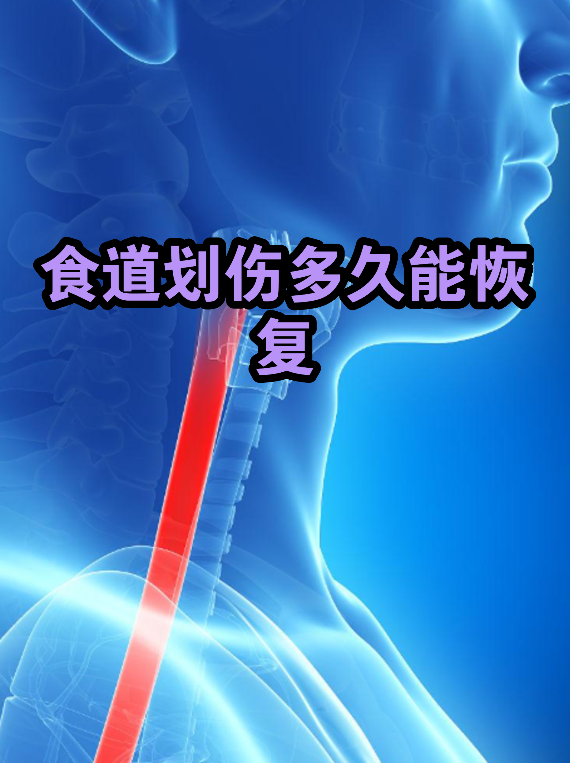 鱼刺的拼音(鱼刺的拼音是什么?)