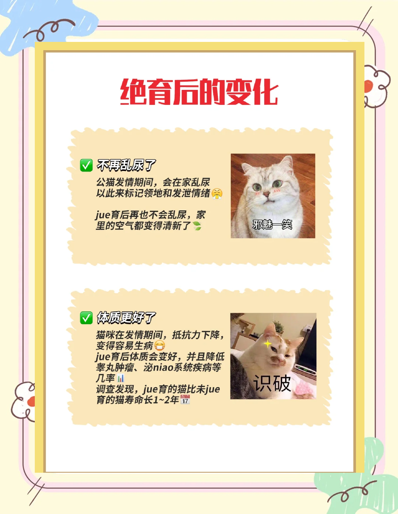 公猫绝育后多久可以吃东西(公猫绝育后多长时间能吃东西)
