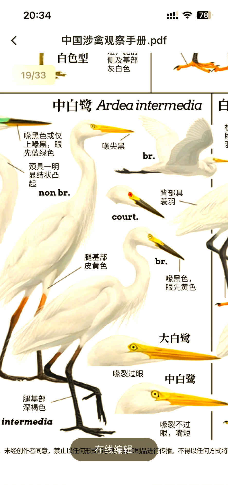 西塞山前白鹭飞是什么生肖(西塞山前白鹭飞出自哪首诗?)
