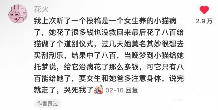 去世的猫咪会托梦给主人吗(宠物猫死了会给主人托梦吗?)