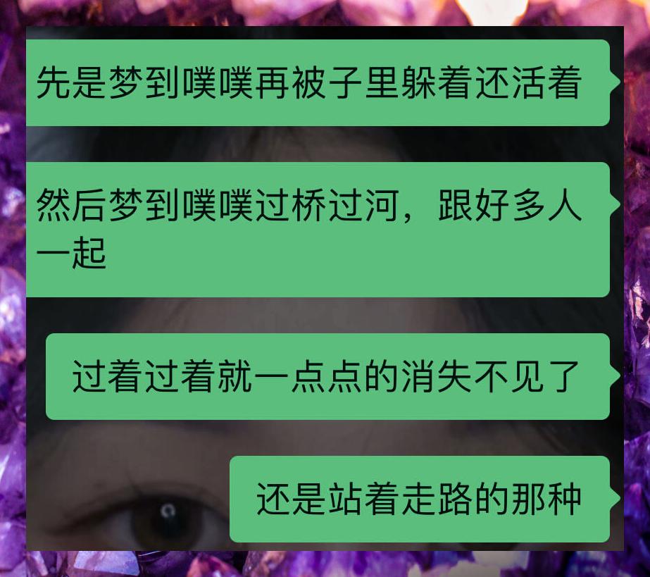 去世的猫咪会托梦给主人吗(宠物猫死了会给主人托梦吗?)