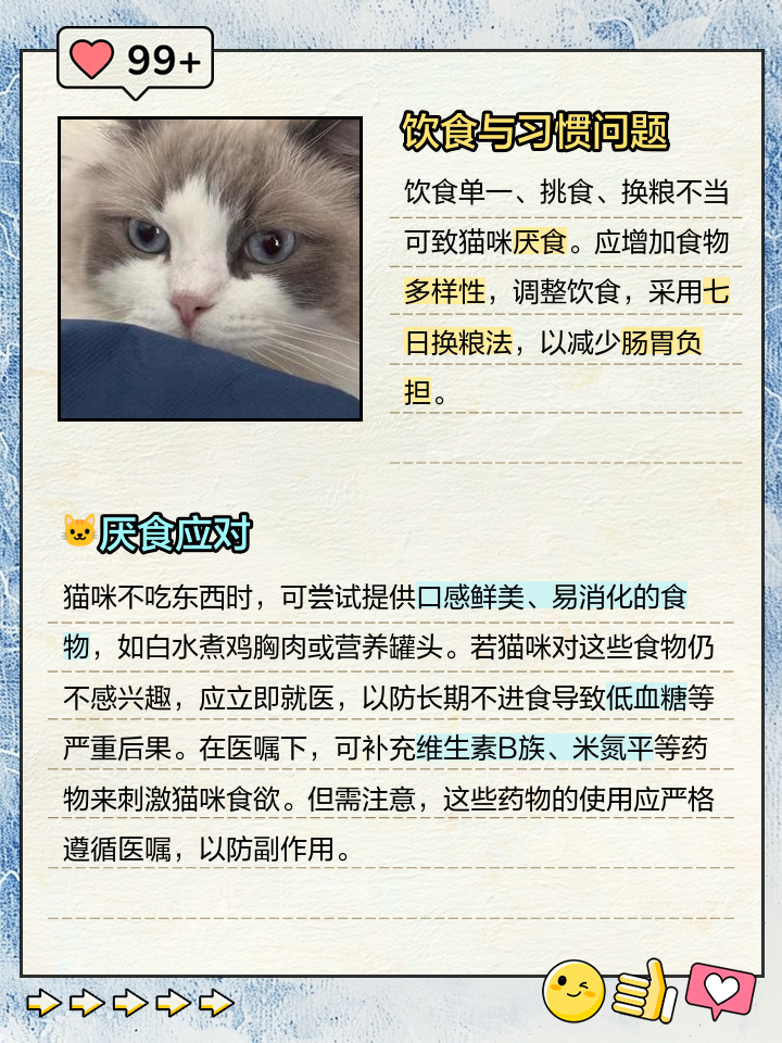 猫不吃东西是什么原因(猫不吃东西是什么原因?吃什么药)