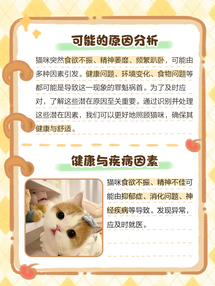 猫不吃东西是什么原因(猫不吃东西是什么原因?吃什么药) 猫不吃东西是什么原因(猫不吃东西是什么原因?吃什么药)
