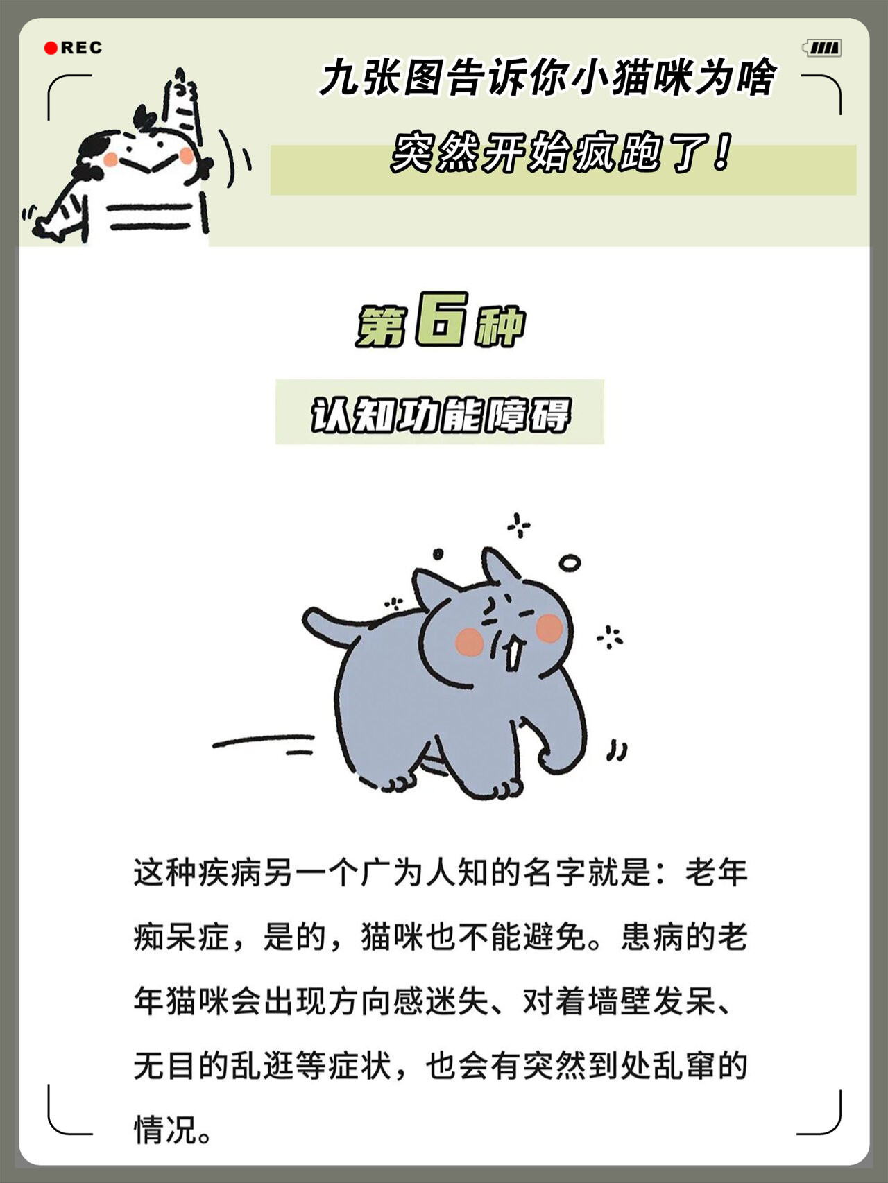 猫突然到处乱窜很兴奋(猫咪突然乱串是什么原因)