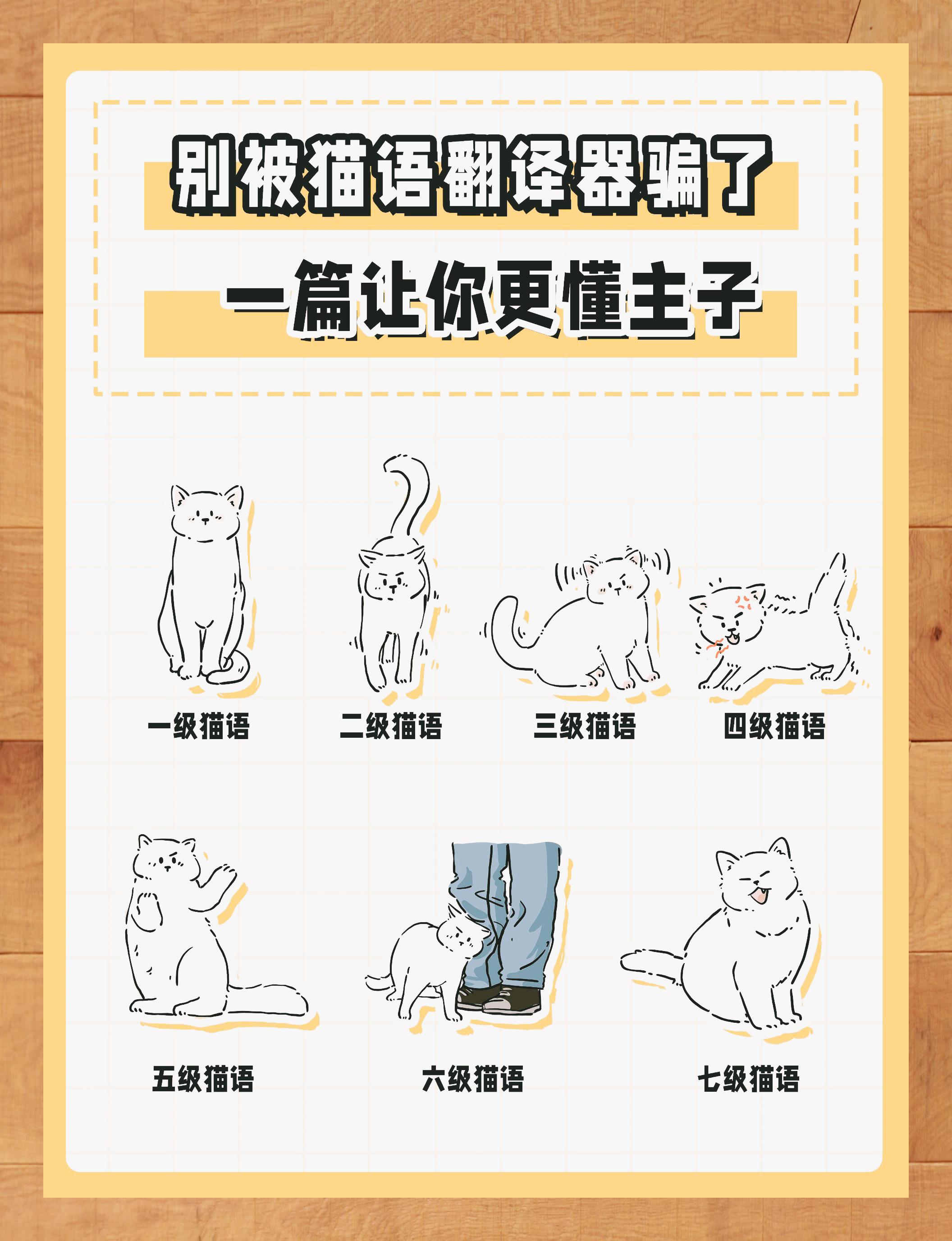 小猫英语怎么读音(小猫英语怎么读语音) 小猫英语怎么读音(小猫英语怎么读语音)