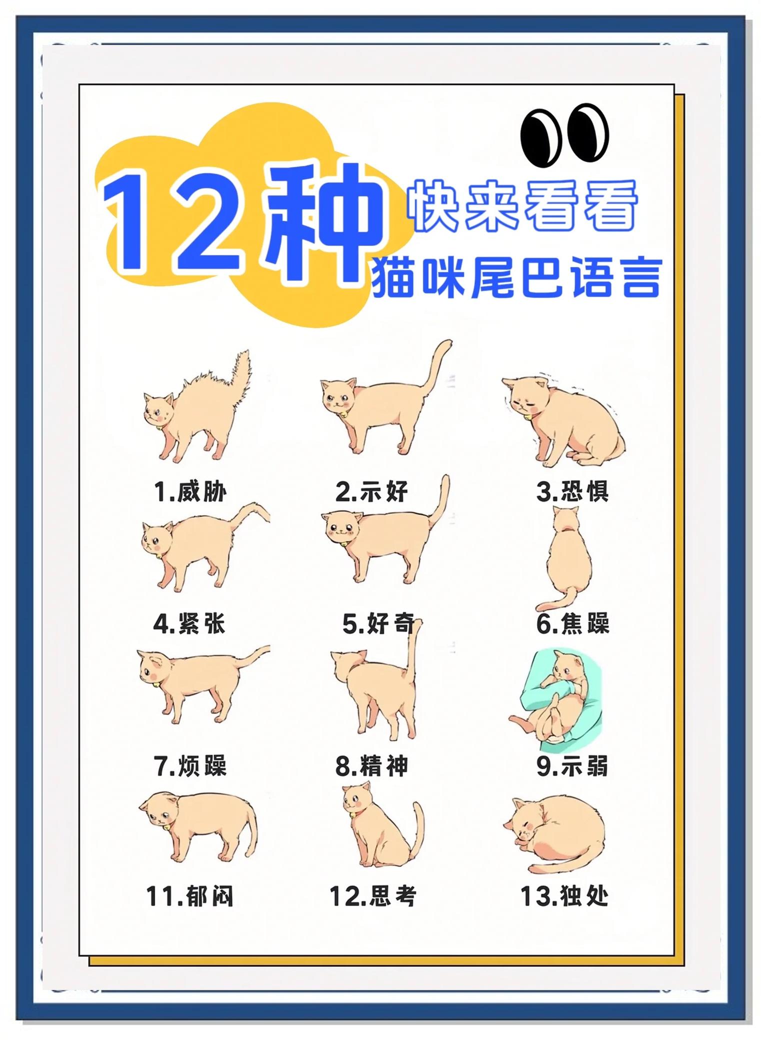 小猫英语怎么读音(小猫英语怎么读语音) 小猫英语怎么读音(小猫英语怎么读语音)