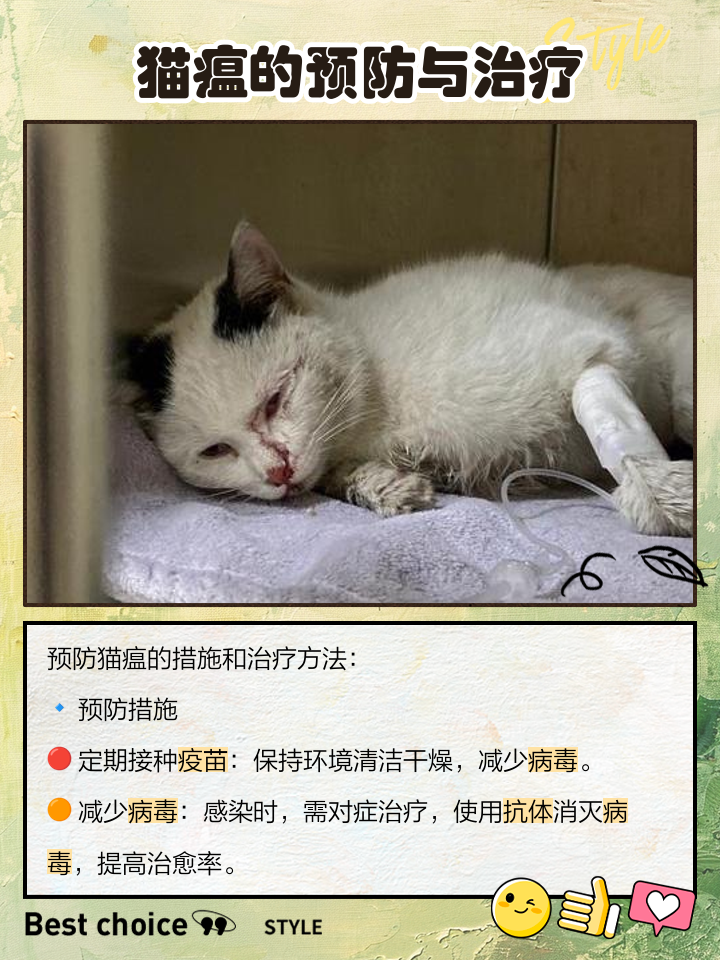 猫瘟有潜伏期吗(猫瘟的潜伏期最长是多少) 猫瘟有潜伏期吗(猫瘟的潜伏期最长是多少)