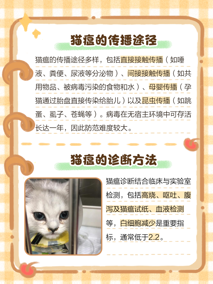 猫瘟有潜伏期吗(猫瘟的潜伏期最长是多少) 猫瘟有潜伏期吗(猫瘟的潜伏期最长是多少)
