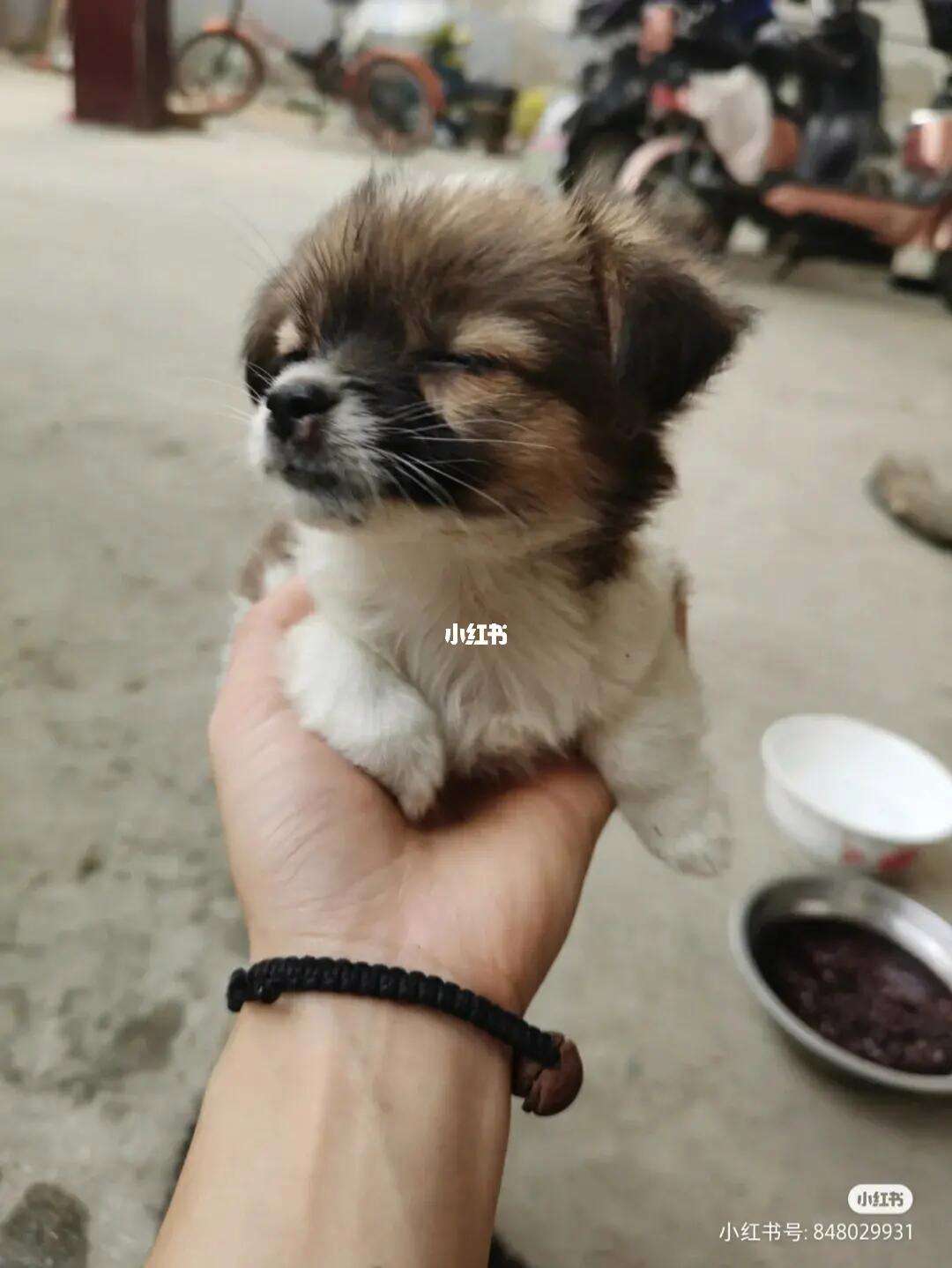 又臭又长(又臭又长的上一句)