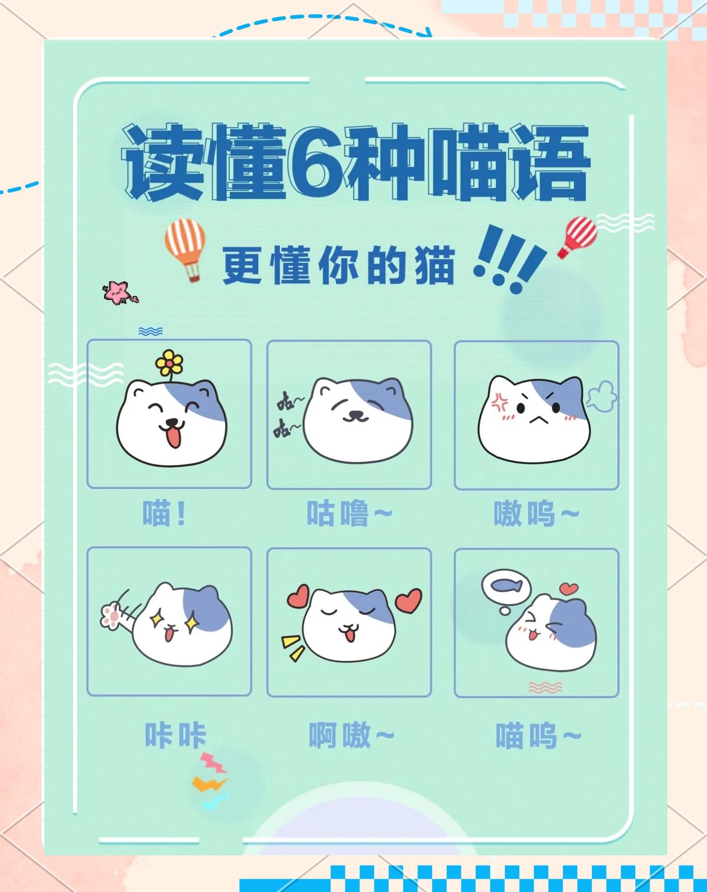 喵呜什么意思(小猫叫喵呜什么意思)