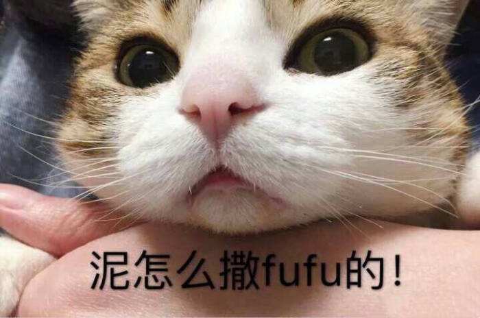 喵呜什么意思(小猫叫喵呜什么意思)