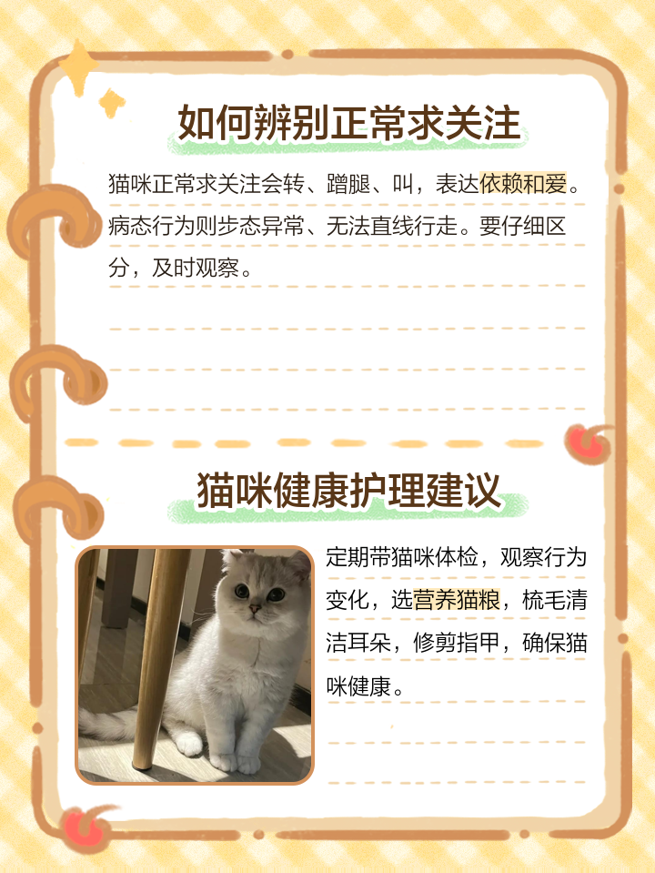 猫咪围着我转圈蹭我是什么意思(猫咪围着我转圈蹭我还喵喵叫很着急) 猫咪围着我转圈蹭我是什么意思(猫咪围着我转圈蹭我还喵喵叫很着急)