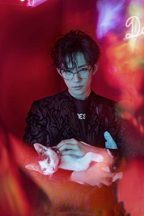 易烊千玺的猫(易烊千玺的猫品种)