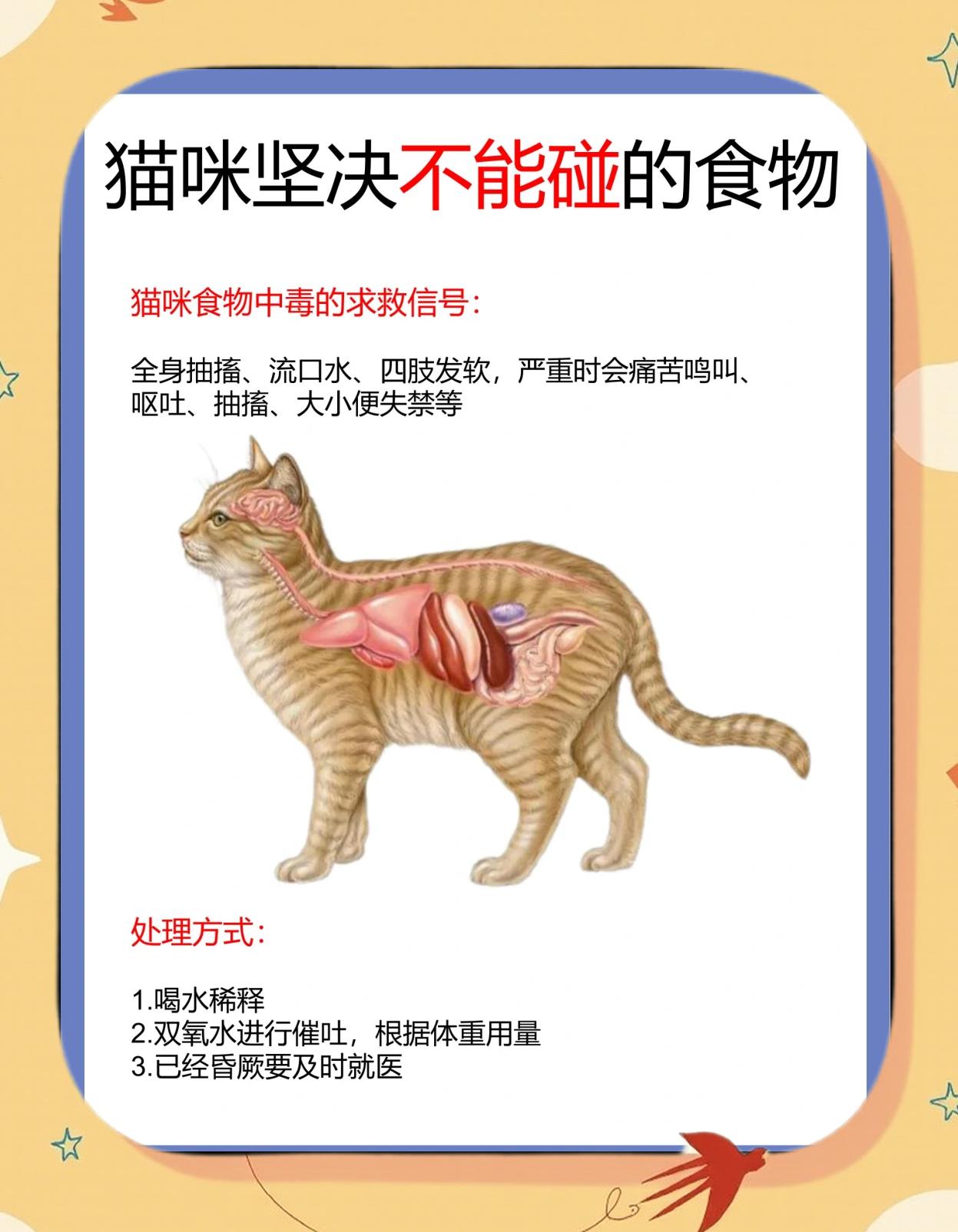 猫可以吃胡萝卜吗(猫能不能吃胡萝卜?) 猫可以吃胡萝卜吗(猫能不能吃胡萝卜?)