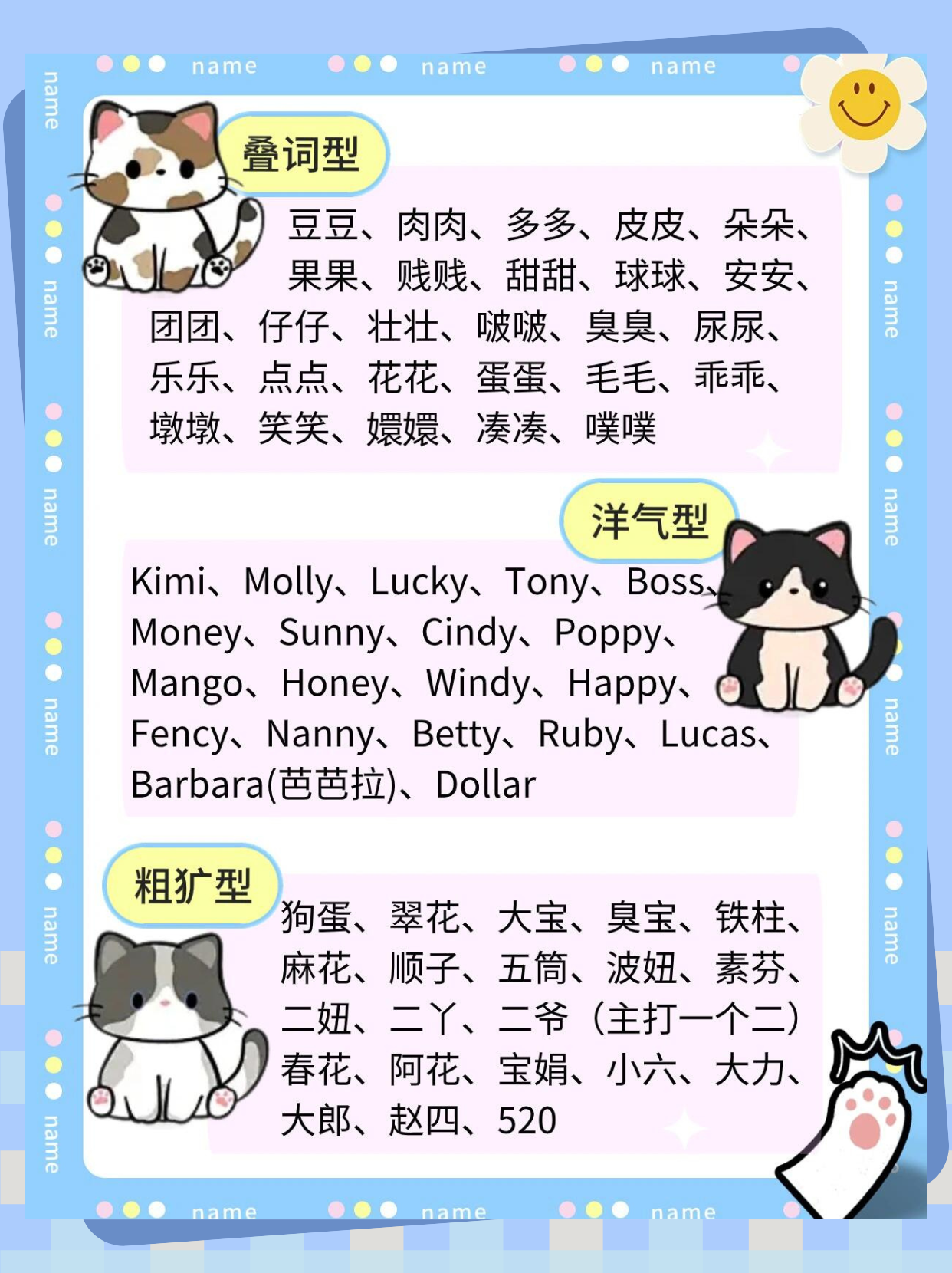 宠物猫的名字(宠物猫十大排名) 宠物猫的名字(宠物猫十大排名)