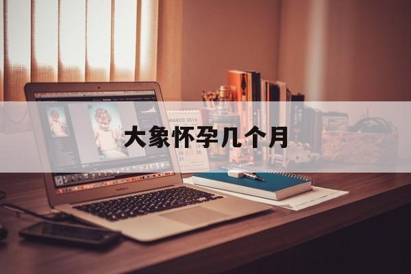 大象怀孕几个月(大象孕期多少个月) 大象怀孕几个月(大象孕期多少个月)