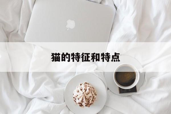 猫的特征和特点(猫的特征和特点描写)